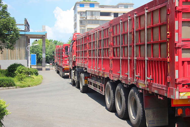 Shaoli Locomotives: Empowering Africa's Infrastructure Development